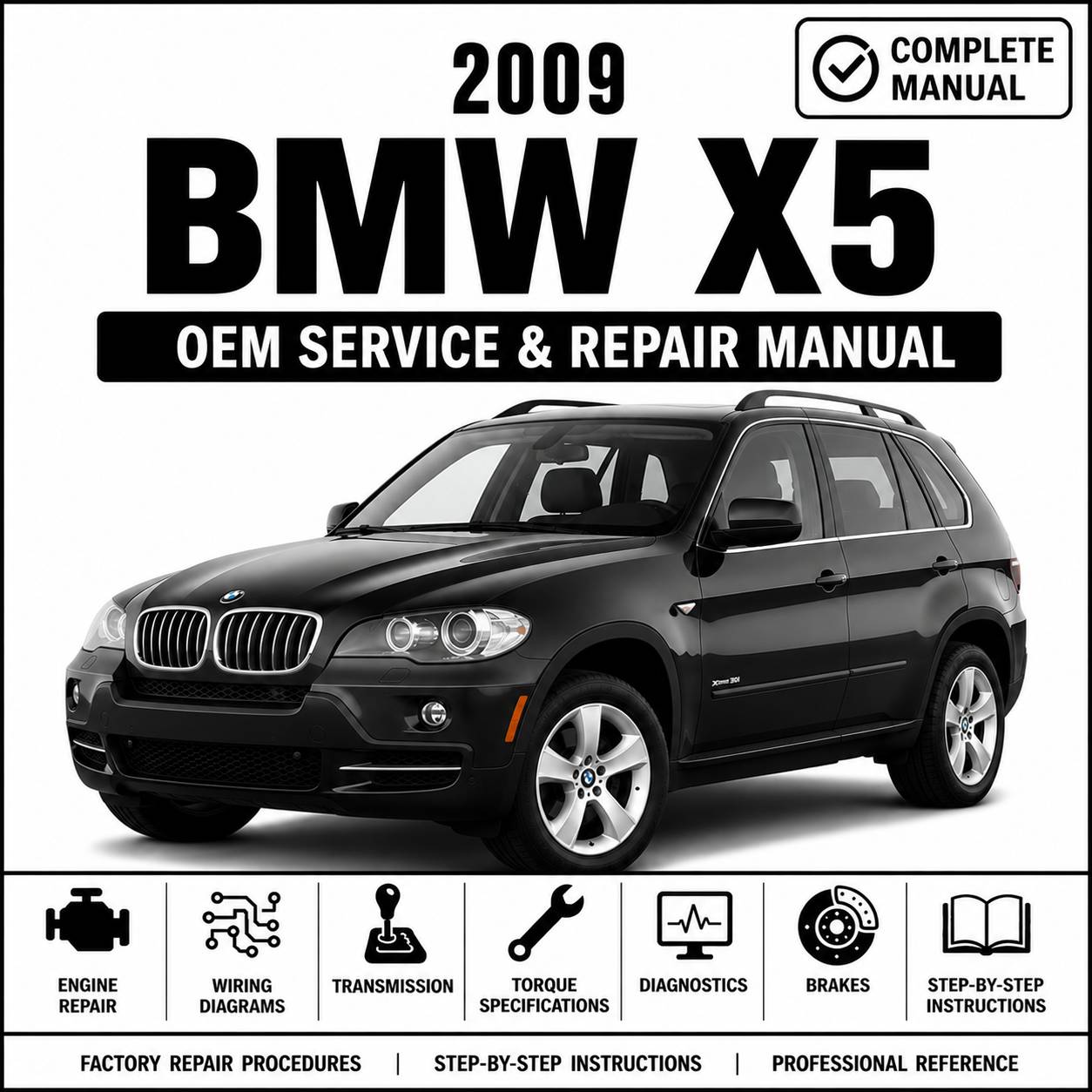 2009 BMW X5 E70 Service and Repair Manual