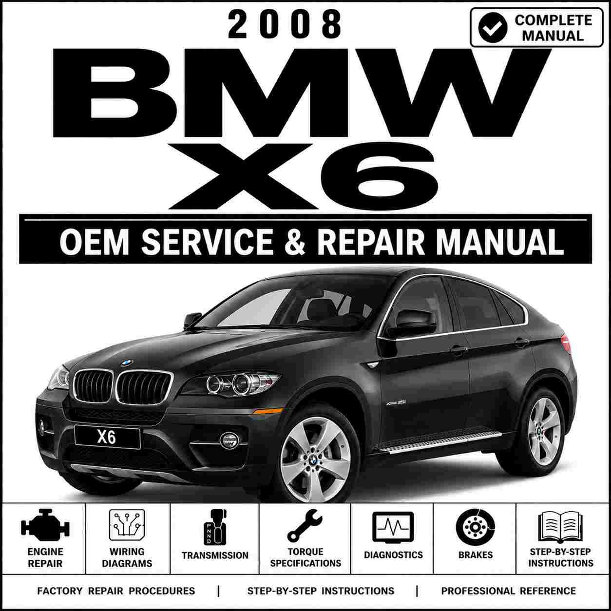 2008 BMW X6 Service and Repair Manual
