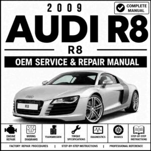 2009 Audi R8