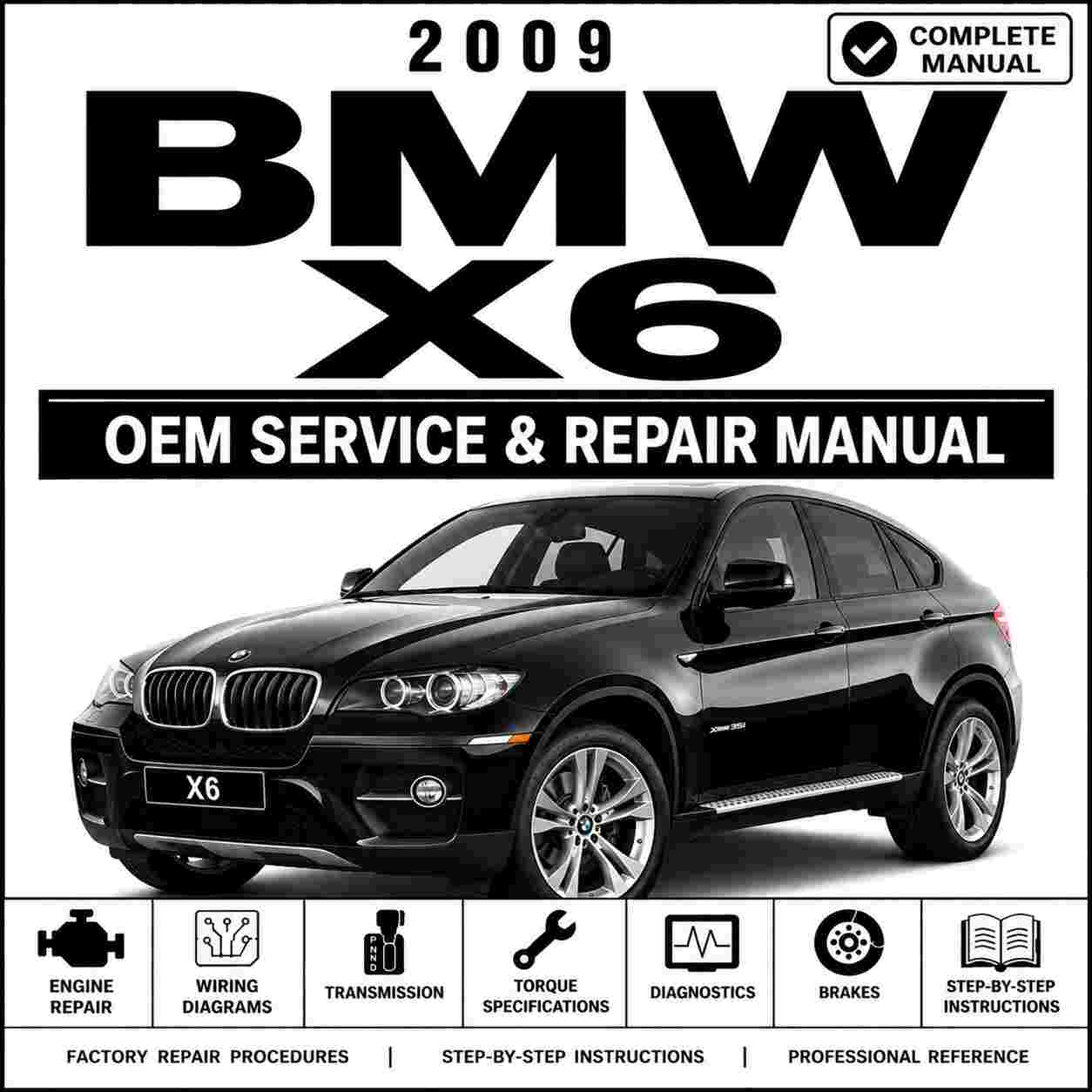 2009 BMW X6 Repair and Service Manual