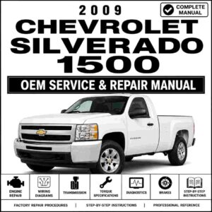 2009 Chevrolet Silverado 1500