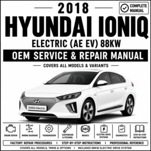 2018 Hyundai IONIQ Electric Service and Repair Manual (AE EV 88kW)