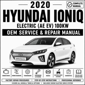 2020 Hyundai IONIQ Electric 100kW Service and Repair Manual