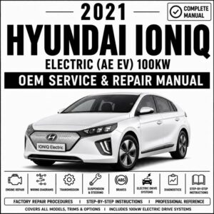 2021 Hyundai IONIQ Electric Service and Repair Manual (AE EV 100kW)