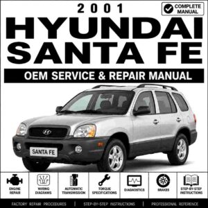 2001 Hyundai Santa FE Service and Repair Manual