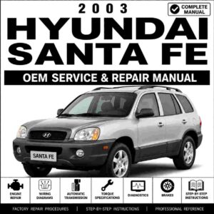 2003 Hyundai Santa Fe Service and Repair Manual