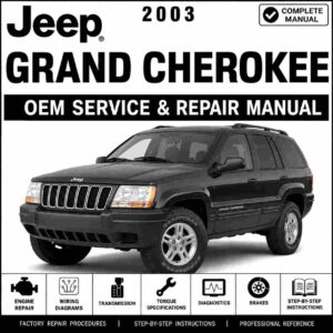 2003 Jeep Grand Cherokee WJ , WG Service Manual – Diagnostic