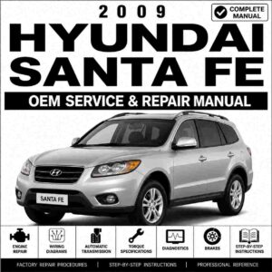 2009 Hyundai Santa Fe Service and Repair Manual