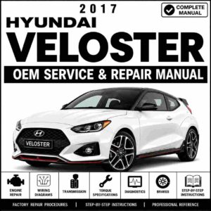 2017 Hyundai VELOSTER (FS) G 1.6 T-GDI Service and Repair Manual