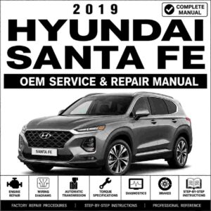 2019 Hyundai Santa Fe (TMA) G 2.0 T-GDI Service and Repair Manual