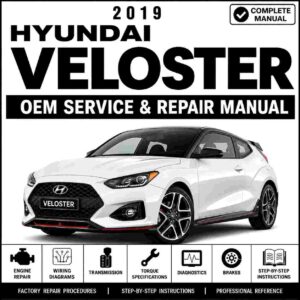 2019 Hyundai VELOSTER N (JSN) G 2.0 T-GDI Service and Repair Manual