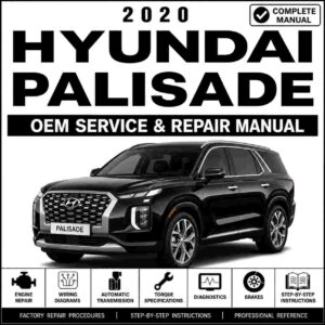2020 Hyundai Palisade (LX2) G 3.8 GDI Service and Repair Manual